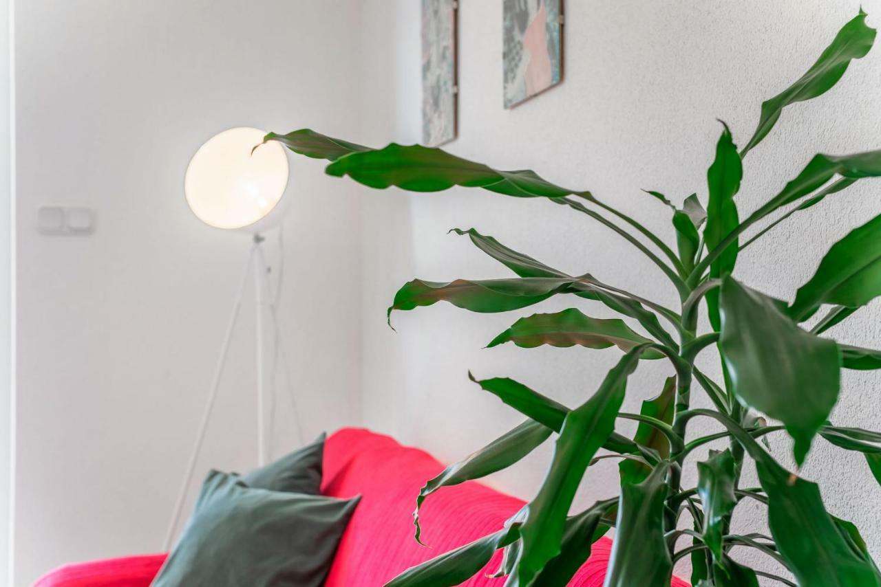 Cozy New Flat For 2 Or 3 Apartment Хвар Екстериор снимка